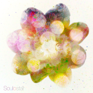 偷拍农村沟厕浓毛
